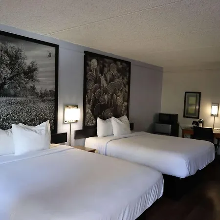 Hotel Super 8 By Wyndham Austin South I-35